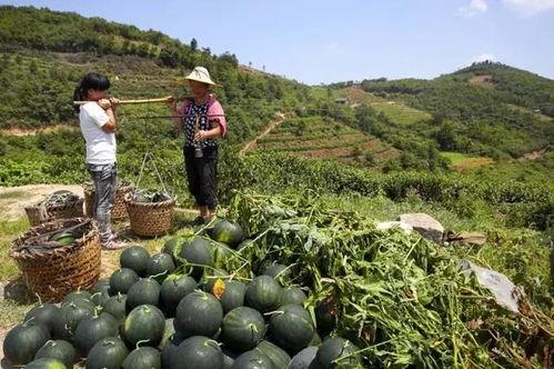 青海浪山今日吃瓜爆料,吃瓜群众揭秘幕后真相