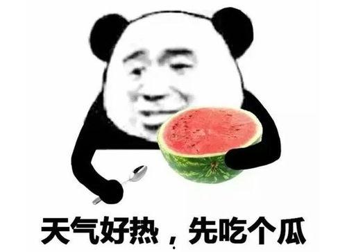 吃瓜表情的意思是什么,网络热词背后的文化现象